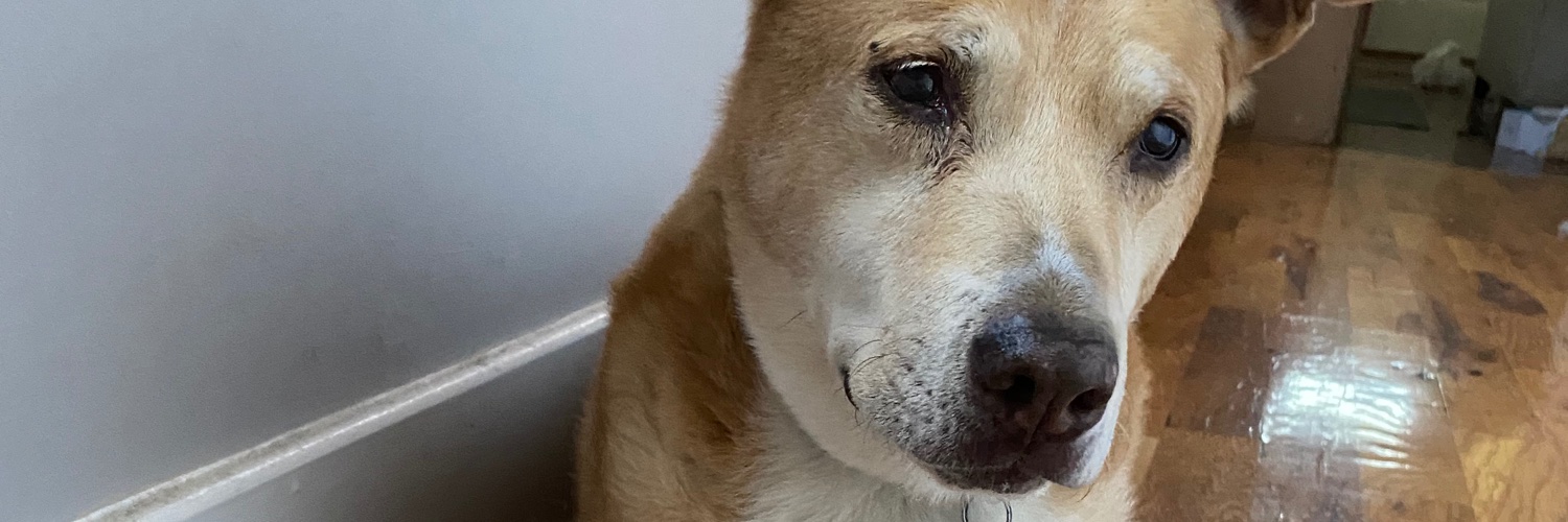 Joshua Coonrod banner