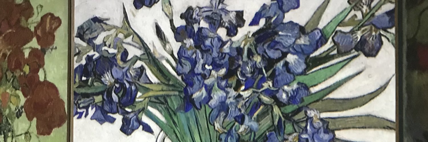 caterpillarhug's profile banner image