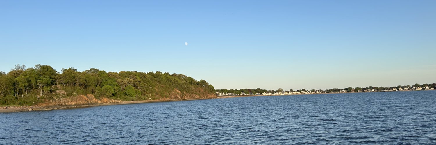 Diego Solís banner