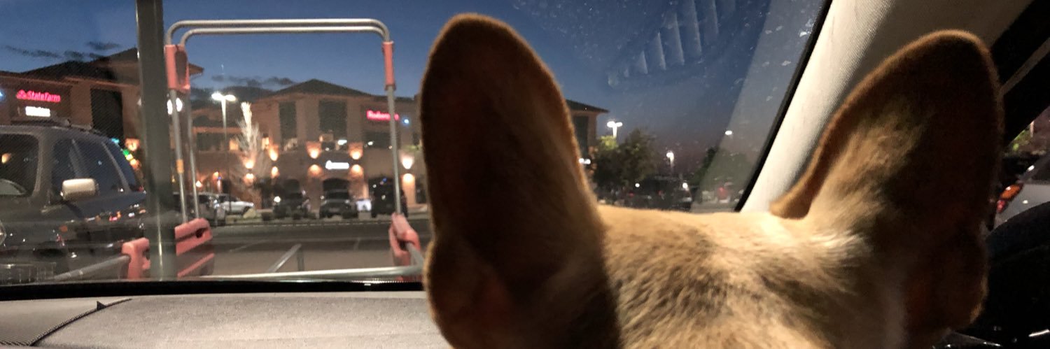 GhostFrenchie's profile banner image