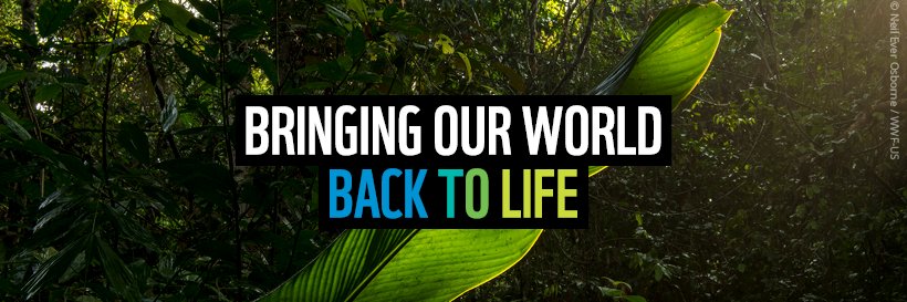 WWF Politics 🌍's banner