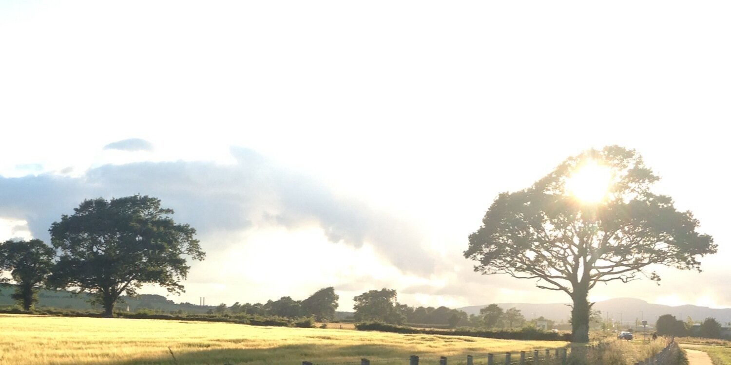 DonnellCharlie's profile banner image