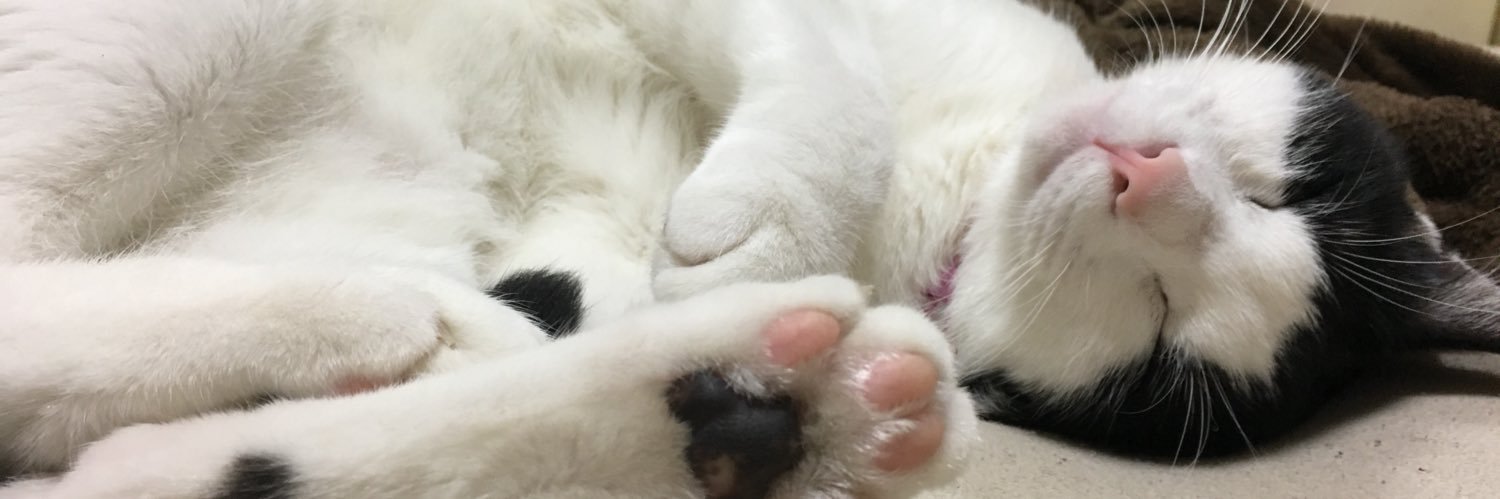 カベラス@帰りたい banner