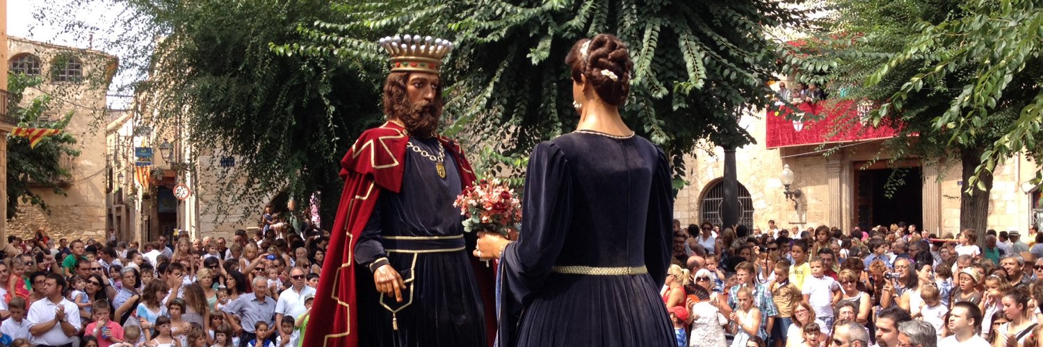 Jaume Ferrer i Puig 🏴 banner