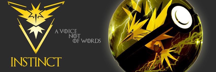 teaminstinctcdf's profile banner image