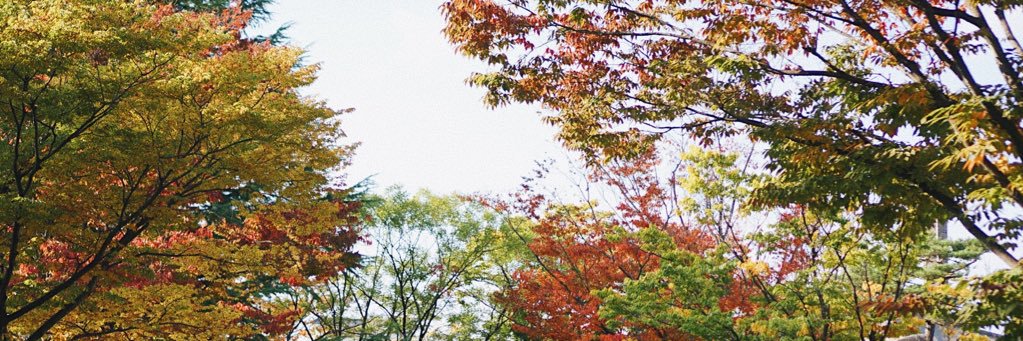 extraodnr's profile banner image