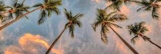 CuicasAmbar's profile banner image