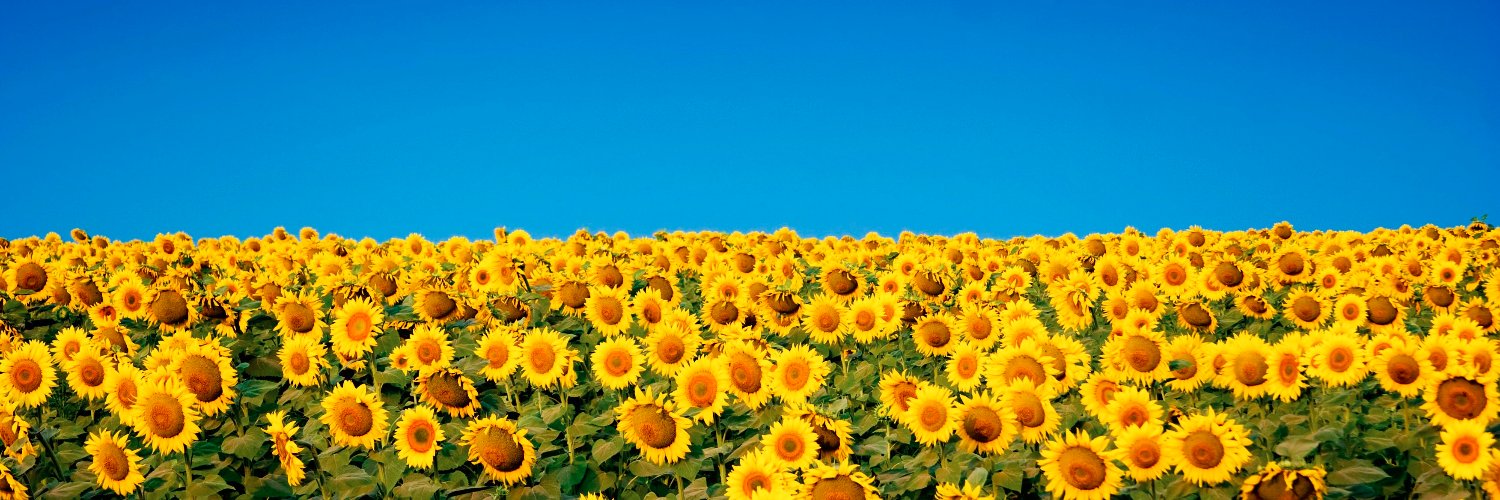 TMaibaum #FBPE #FBSI🇪🇺🇩🇪🇵🇱🏴󠁧󠁢󠁳󠁣󠁴󠁿🌹🌻 banner