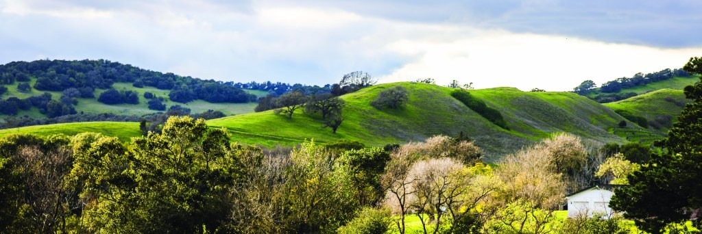 Wine Country Women banner