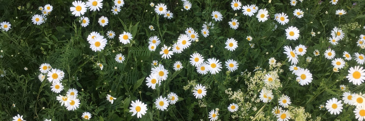 Kate_Pastuhova's profile banner image