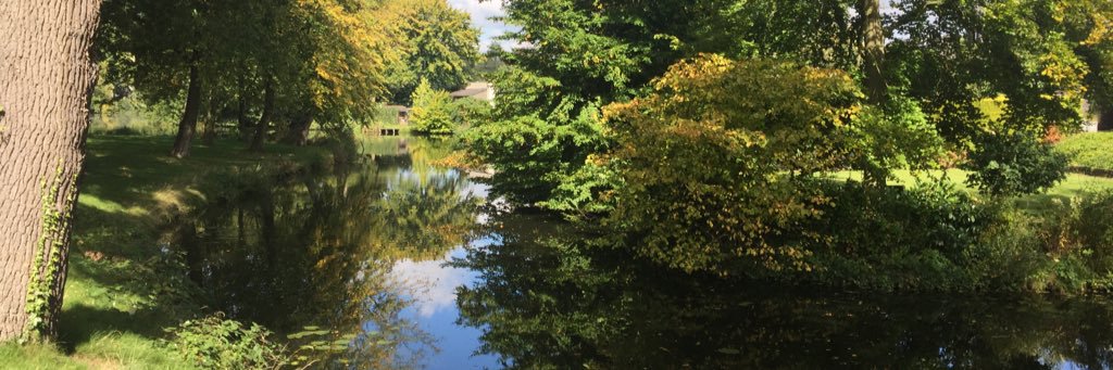 Lilia Rissman banner