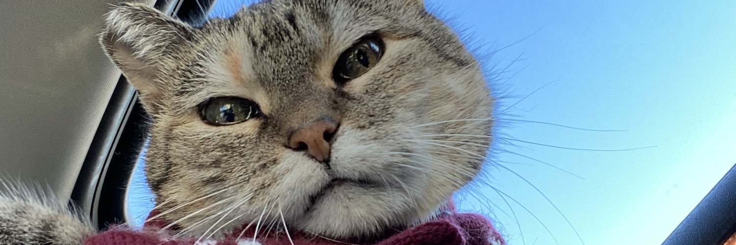 KayPet14's profile banner image