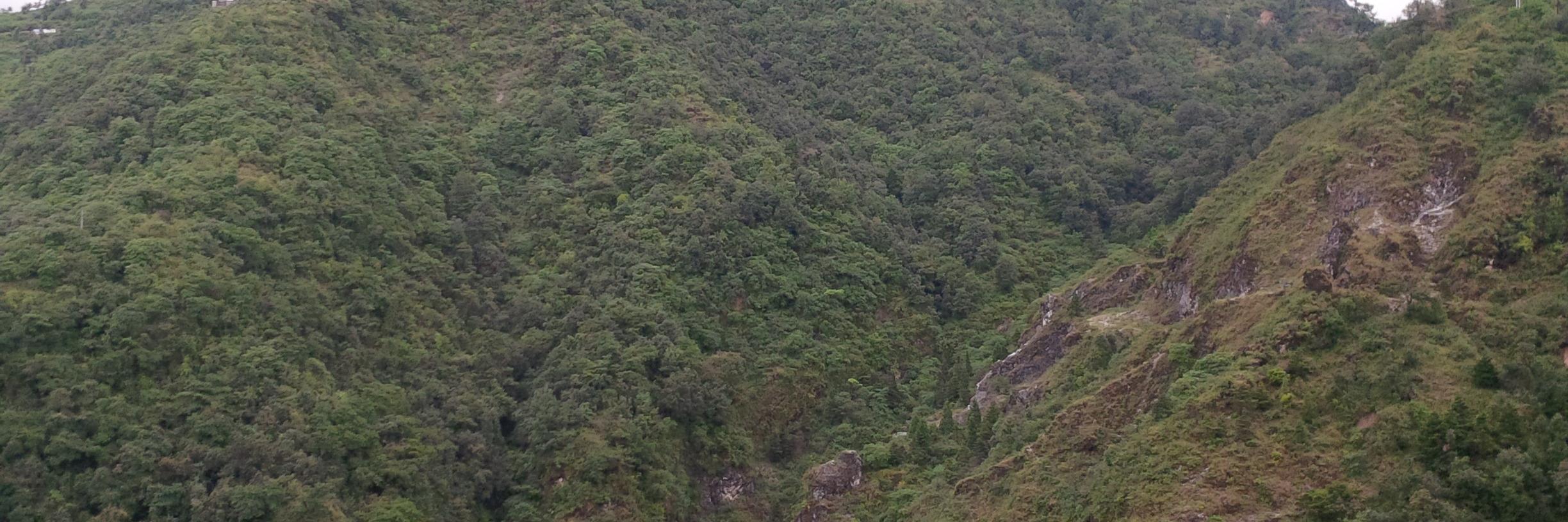 angaraian's profile banner image