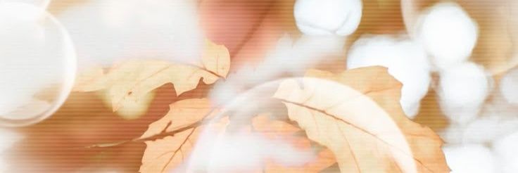 ݁ banner