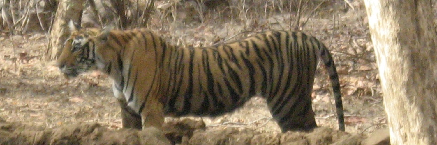 Sukumar Muralidharan banner