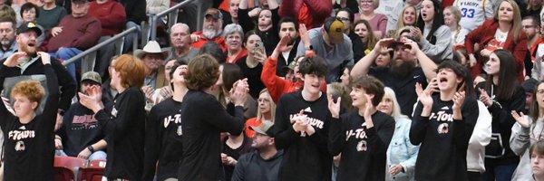 ViloniaHoops Profile Banner