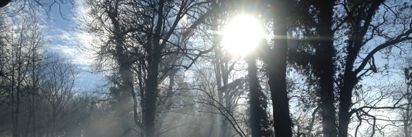 TobyCDiGeorgio Profile Banner