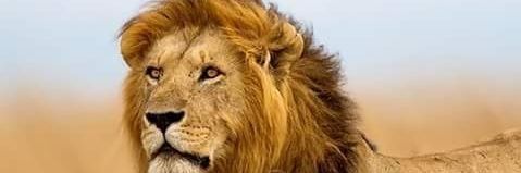 Tony54525309's profile banner image