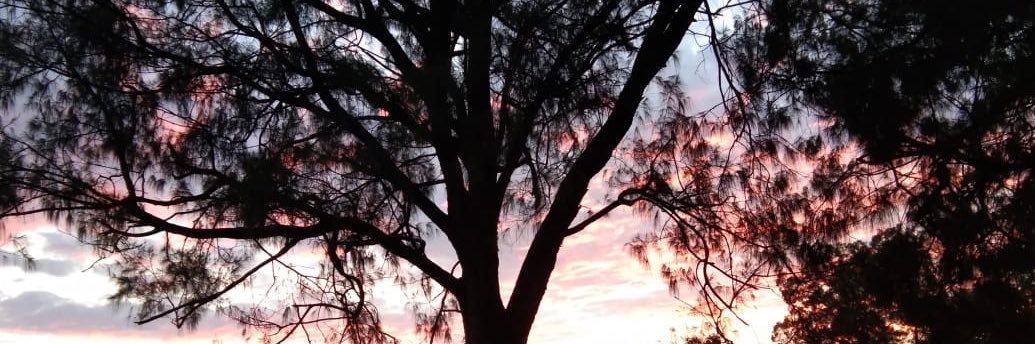 aponarry's profile banner image