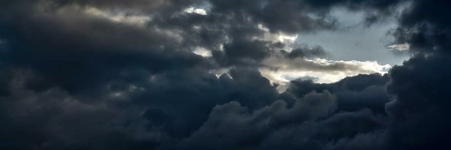 sentez banner