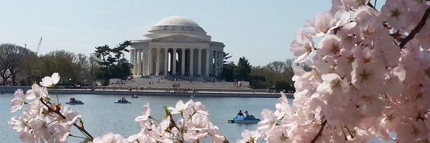AmyTChisholm's profile banner image