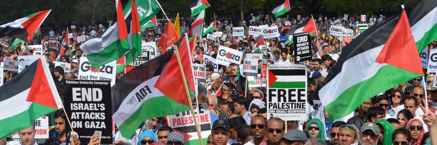 Basma Saeed banner