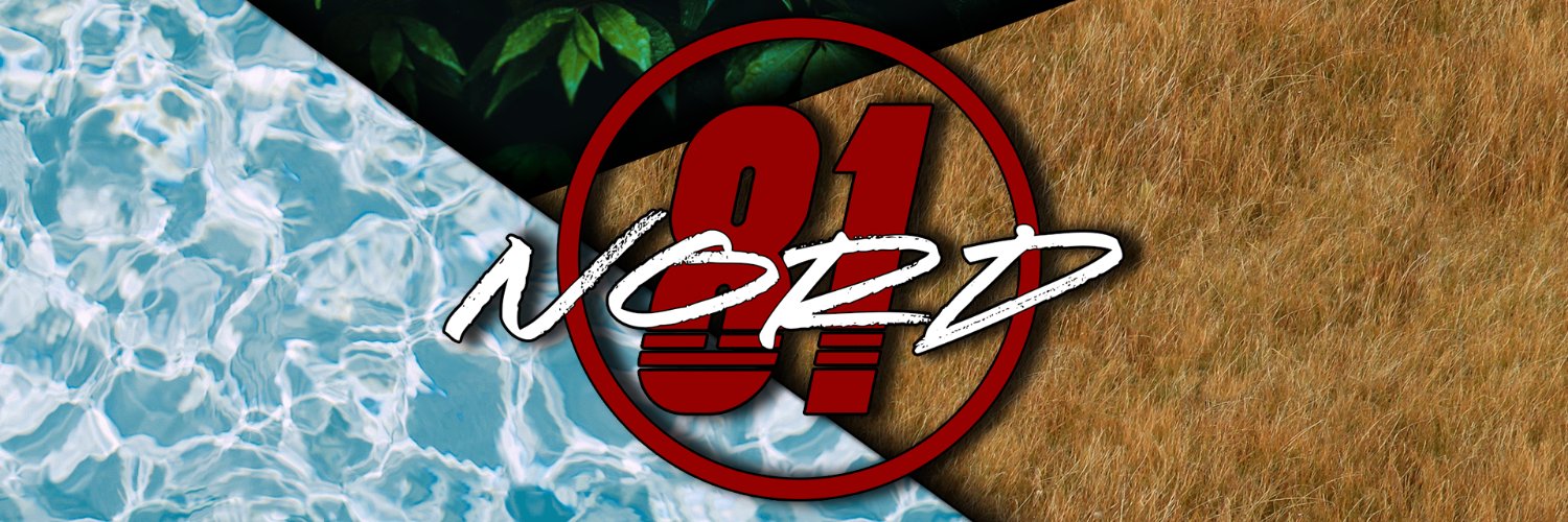 Level81Nord's profile banner image
