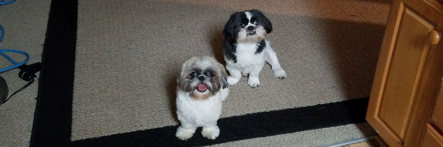 Cindyl3939's profile banner image