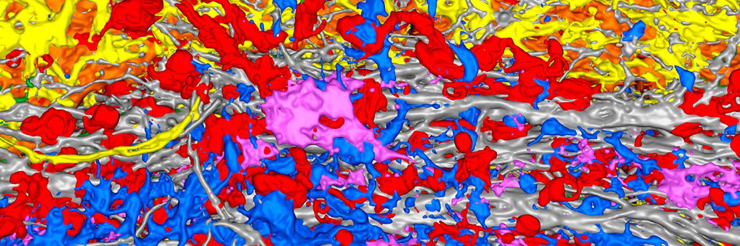 Journal of Experimental Medicine's banner