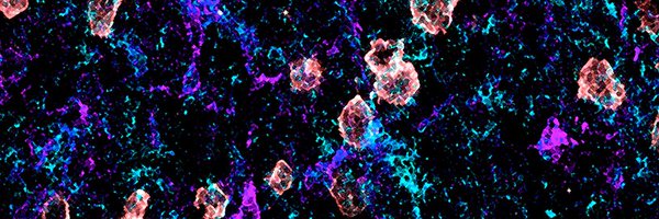 JExpMed Profile Banner