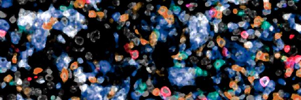 JExpMed Profile Banner