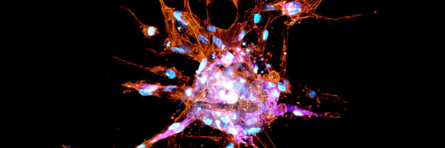 Journal of Experimental Medicine banner