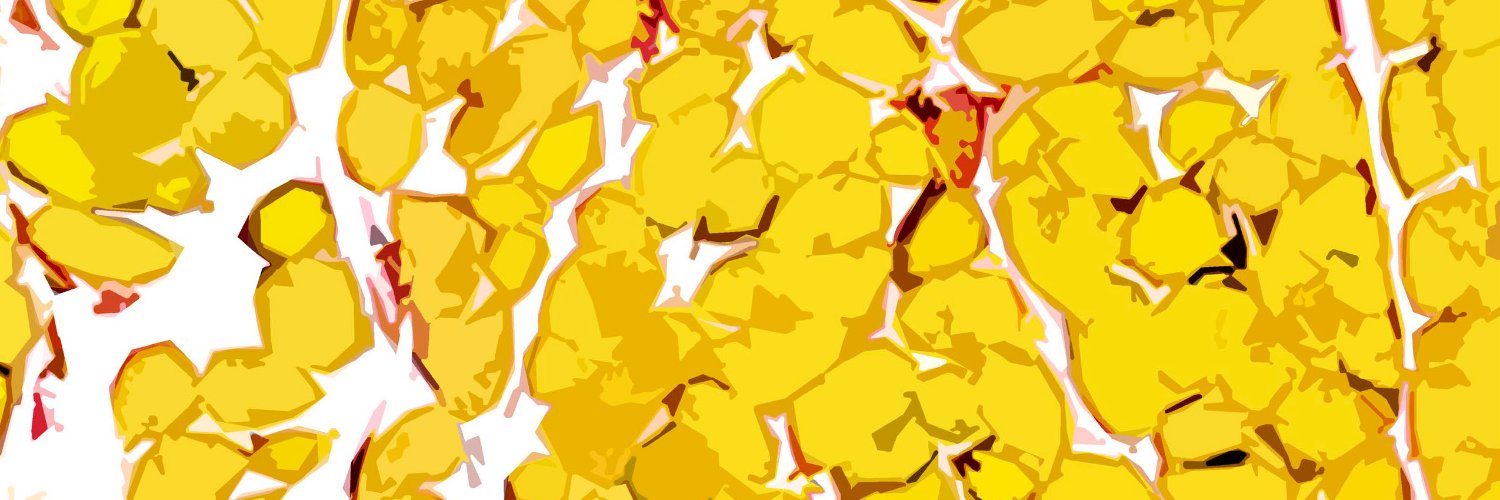 JExpMed's profile banner image
