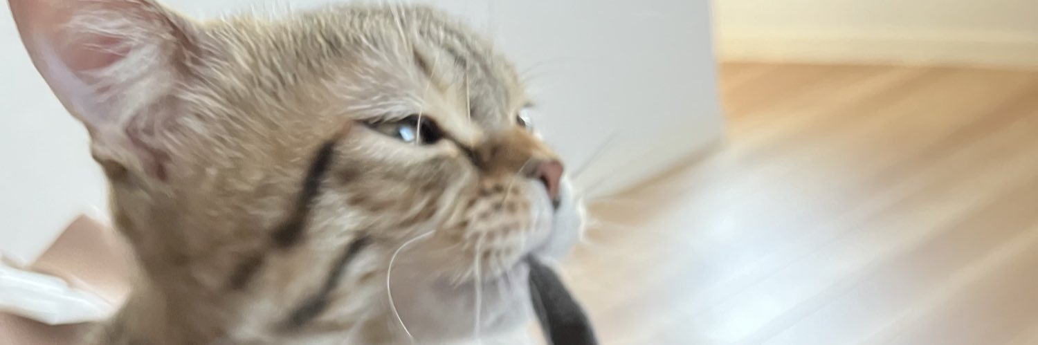 aaaaaskow's profile banner image