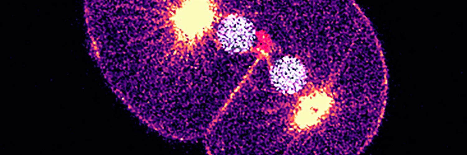 Journal of Cell Biology's banner