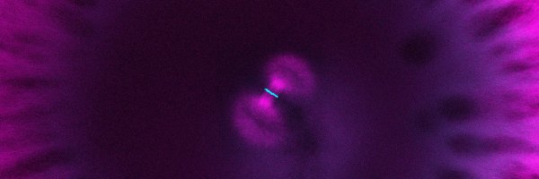 JCellBiol Profile Banner