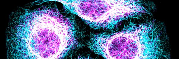 JCellBiol Profile Banner