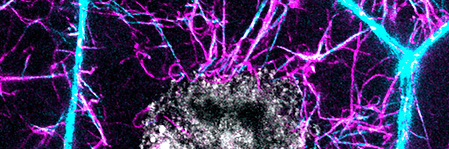 Journal of Cell Biology banner