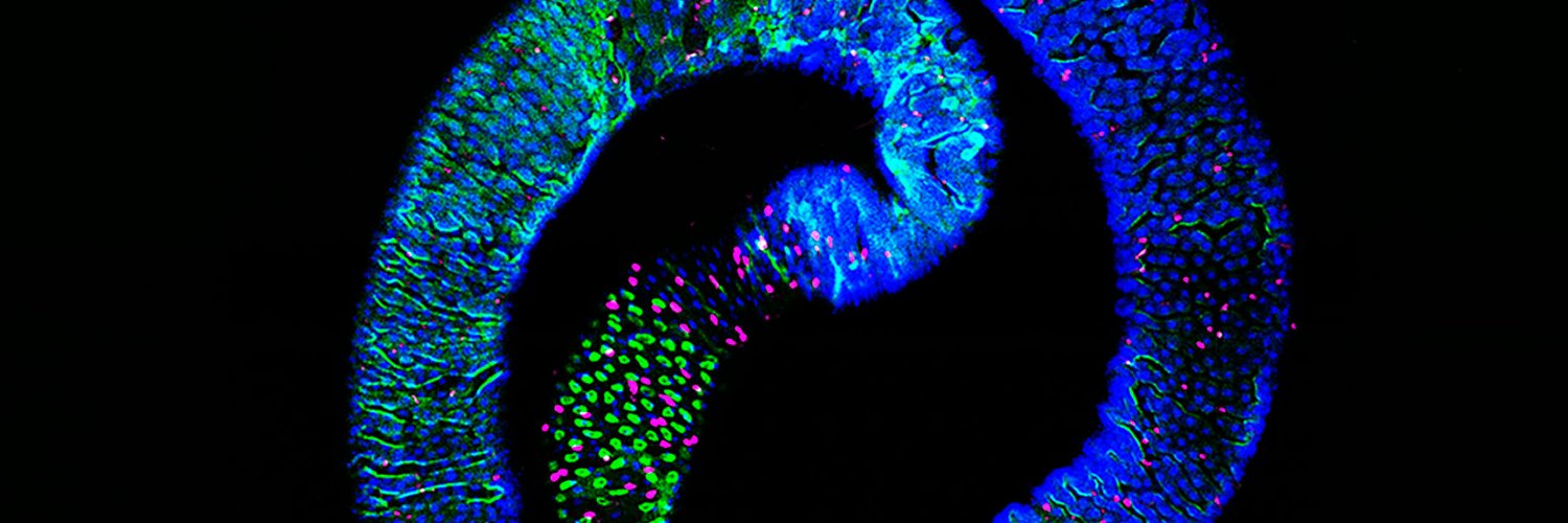 Journal of Cell Biology banner