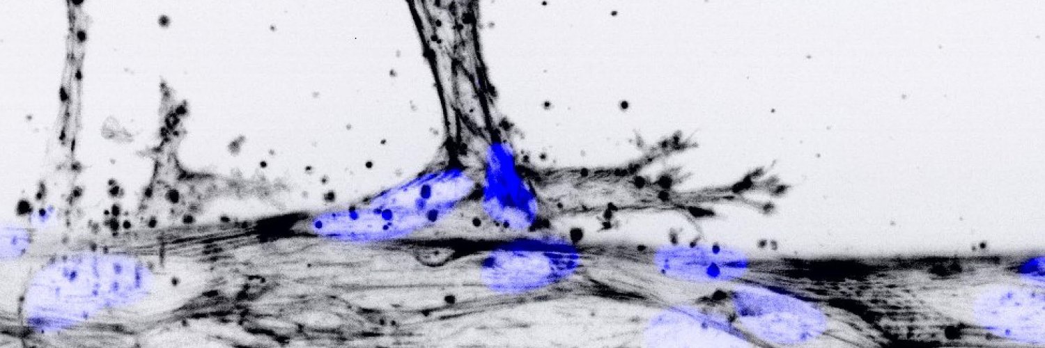 JCellBiol's profile banner image