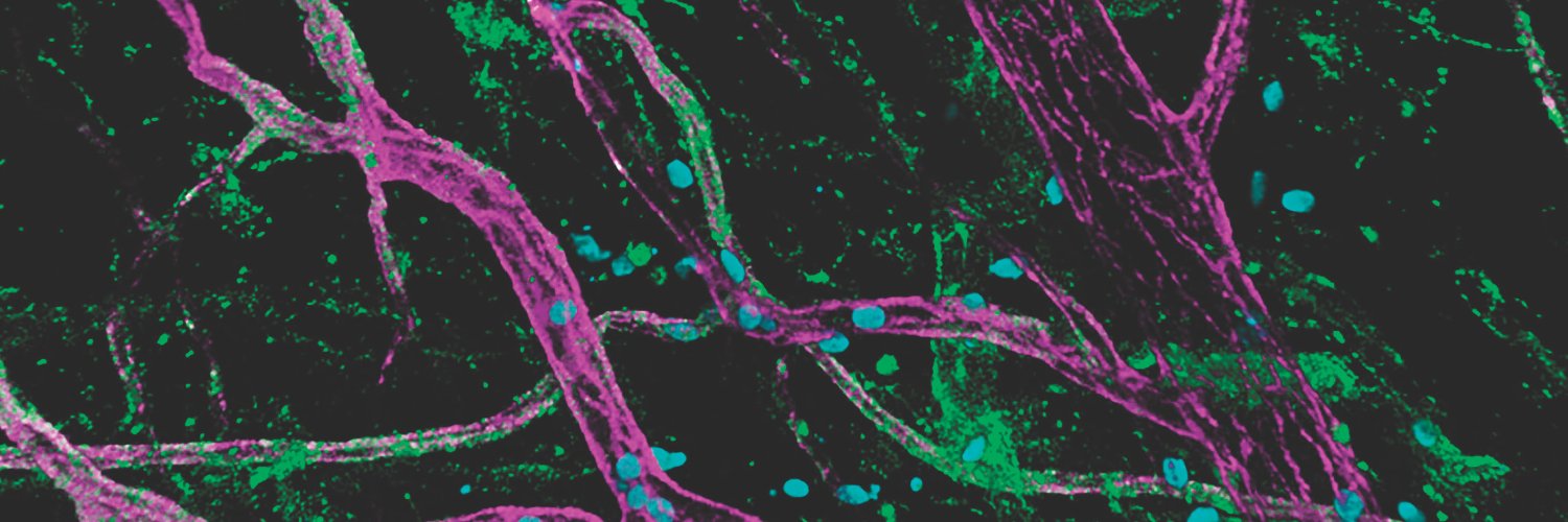 Journal of Cell Biology banner