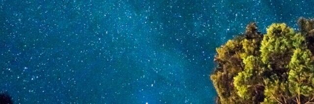 thdhthgks's profile banner image