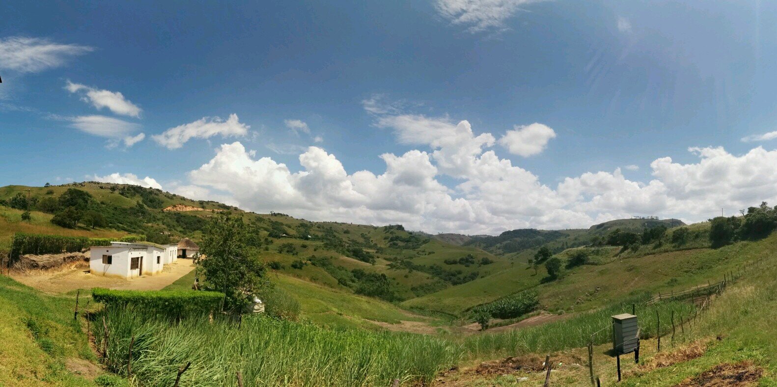 Joel Albinsson banner