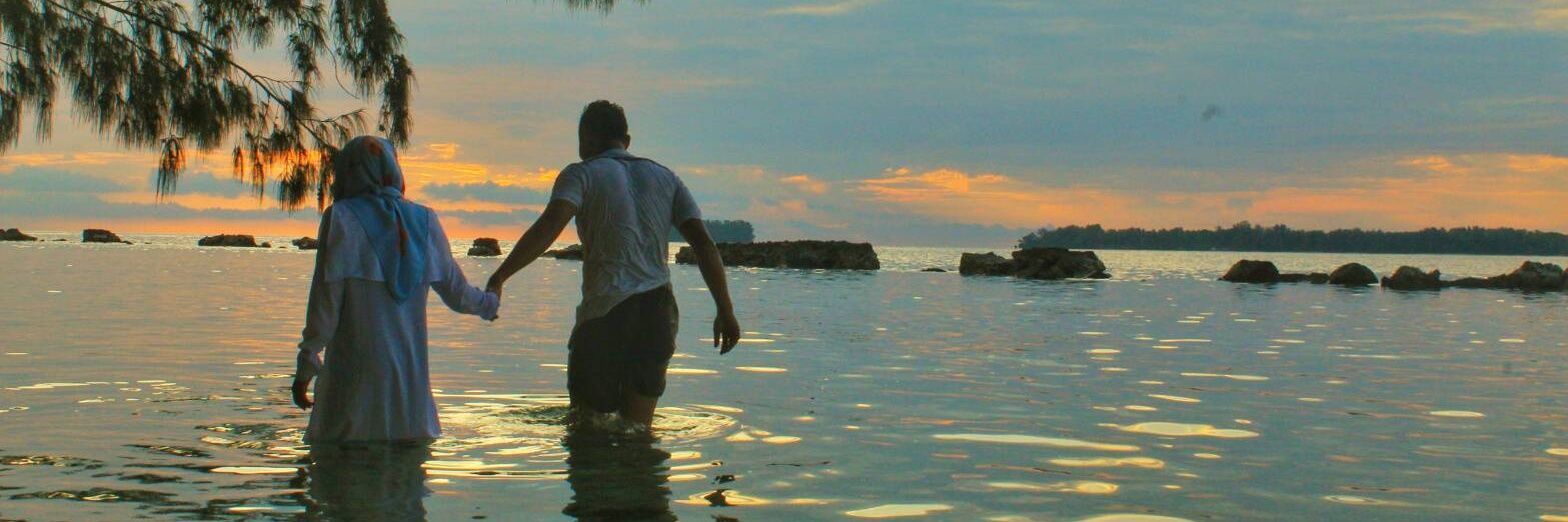 cichadaisz's profile banner image