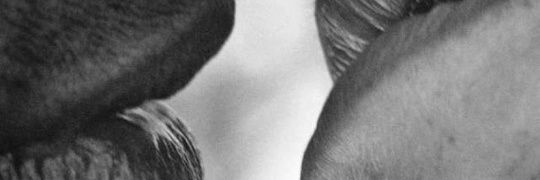 alekzen23's profile banner image