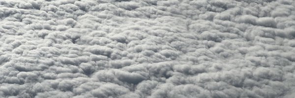 rendy Profile Banner