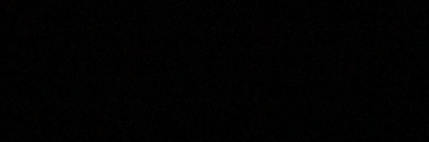 litzyocampo18's profile banner image