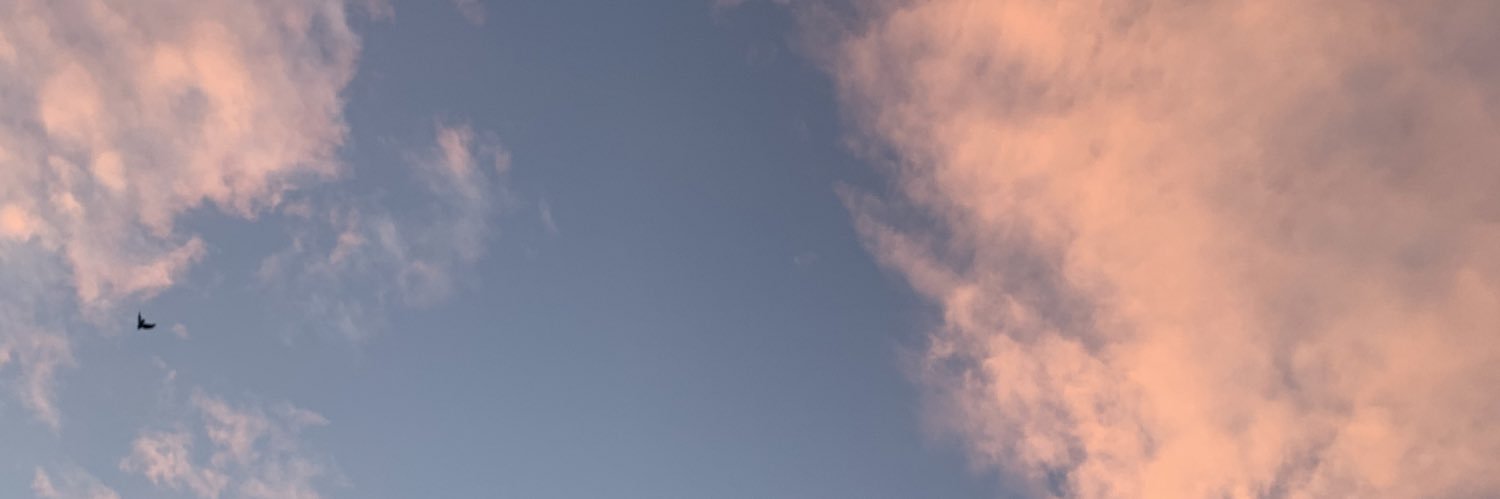 sierra banner