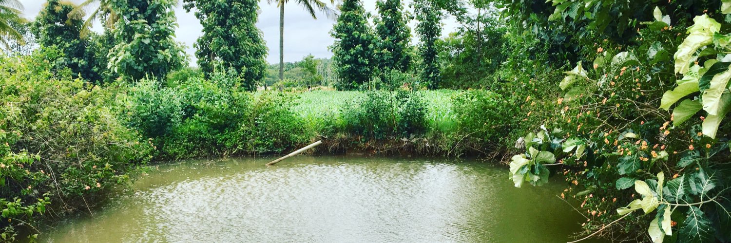 pbgautham's profile banner image