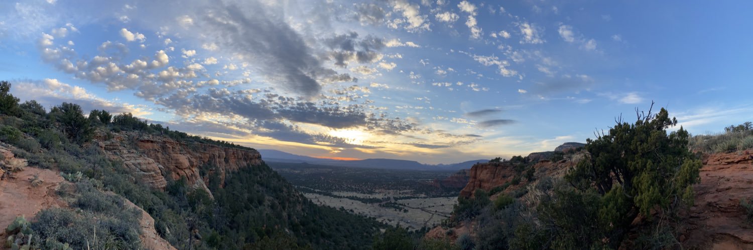 Francesco Emiliani banner